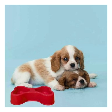 PLATILLO PERRO Y GATO MA31297 RYBIU CANINOS DOBLE ROJO + POST-IT ADHESIVOS