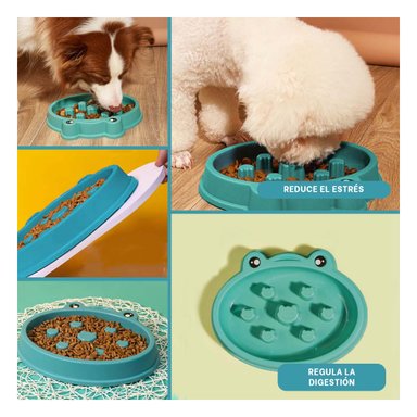 PLATO PERRO RYBIU UTIL Y SENCILLO VERDE + REGALO AGENDITA