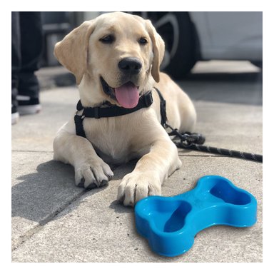 PLATILLO PERRO Y GATO MA31296 RYBIU MULTIFUNCIONAL M CELESTE + REGALO LIGAS PEINAR