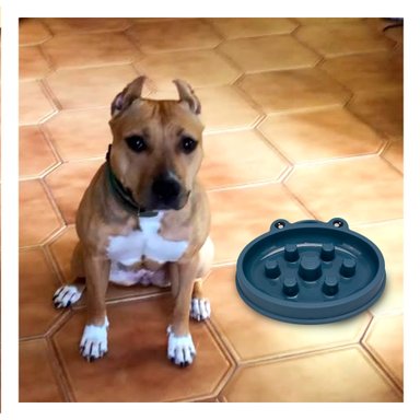 COMEDERO PERRO RYBIU RANITA DOG AZUL + REGALO AGENDITA