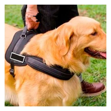 COMEDERO DE MATERIAL DURABLE EN BLANCO Y+REGALO AGENDITA