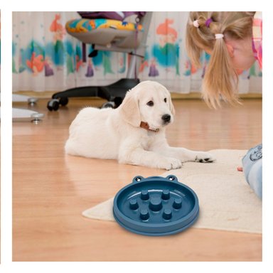 PLATILLO PERRO RYBIU CANINOS DOBLE AZUL + POST-IT ADHESIVOS