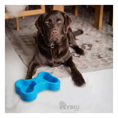 PLATILLO PERRO Y GATO MA31296 RYBIU CANINOS DOBLE CELESTE + POST-IT ADHESIVOS