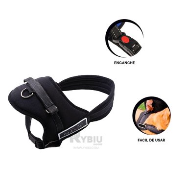 PLATO CON BEBEDERO VERSATIL EN CELESTE Y+REGALO STICKERS