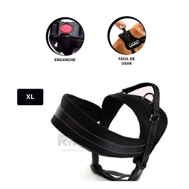 PLATO DE DISEÑO COMPACTO EN CELESTE Y+REGALO AGENDITA