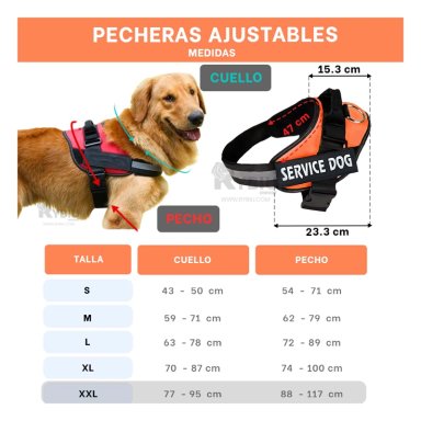 CORREA PERROS MA30986 RYBIU CANINO EN ANARANJADO XXL + REGALO LIGAS PEINAR