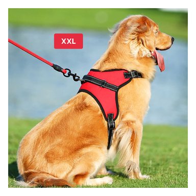 PECHERA PERROS MA30990 RYBIU CAN GRANDE XXL ROJO + PAPEL REGALO