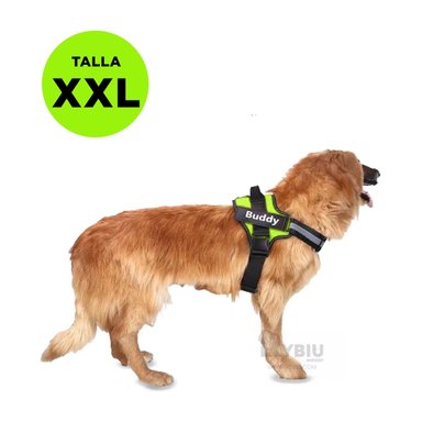 ARNÉS PERROS MA30989 RYBIU COMODO CON HEBILLA D EN VERDE XXL + GIFT STICKERS