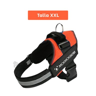 CORREA PERROS MA30986 RYBIU APTO EN ANARANAJDO XXL + LIGAS REGALO