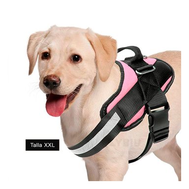 CORREA PERROS MA30988 RYBIU CONFORTABLE XXL ROSAD + BANDERITAS ADHESIVAS
