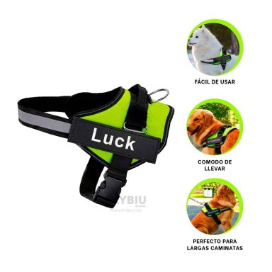 CORREA PERROS MA30989 RYBIU APTO EN VERDE XXL + LIGAS REGALO