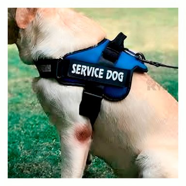 CORREA PERROS MA30985 RYBIU PRACTICA AZUL XXL + GIFT STICKERS