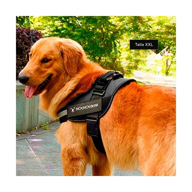 PECHERA PERROS MA30987 RYBIU CAN GRANDE EN NEGRO EN XXL + PAPEL REGALO