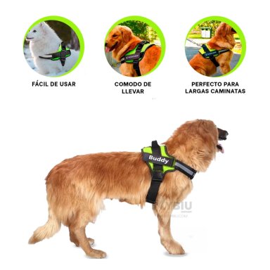 CORREA PERROS MA30989 RYBIU IDEAL EN VERDE XXL + BANDERITAS ADHESIVAS