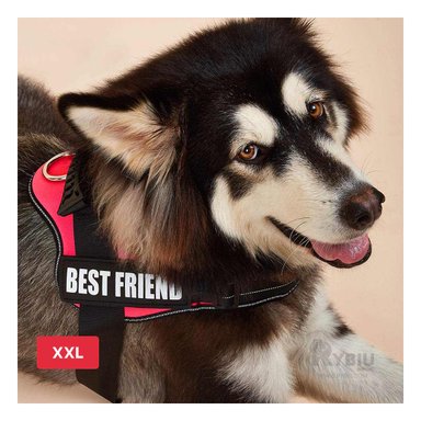 PECHERA PERROS MA30990 RYBIU SEGURIDAD CAN XXL EN ROJO + REGALO STICKERS