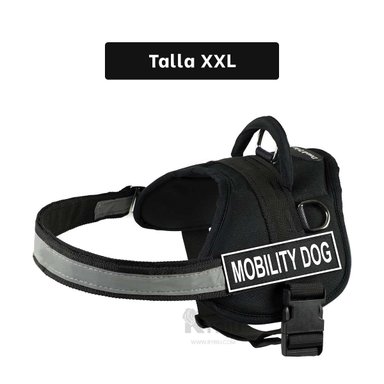 CORREA PERROS MA30987 RYBIU IDEAL EN NEGRO XXL + BANDERITAS ADHESIVAS