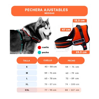 CORREA PERROS MA30986 RYBIU IDEAL ANARANJADO XXL + BANDERITAS ADHESIVAS