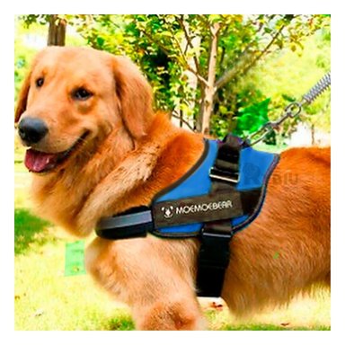 CORREA PERROS MA30985 RYBIU EXOTICA AZUL XXL + ENVOLTORIO REGALO