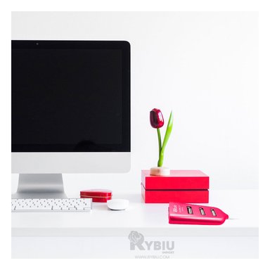 EXTENSION PARA USB 2.0 ALTA 4 PUERTOS RYBIU FUCSIA + GIFT MINIAGENDA - 1