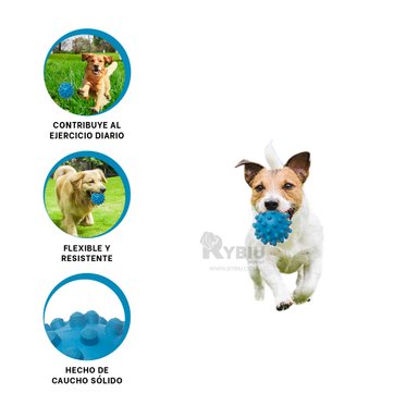 PELOTA CAUCHO PERRO MA31150 UTIL GRANDE CELESTE + ENVOLTORIO REGALO RYBIU