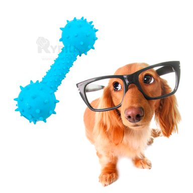 HUESO JUGUETE PERROS MA31136 ESTIMULANTE CELESTE + ENVOLTORIO REGALO RYBIU