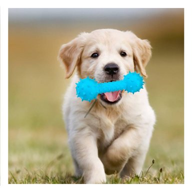 JUGUETE PERROS MA31136 INTERACTIVO CELESTE + PAPEL REGALO RYBIU