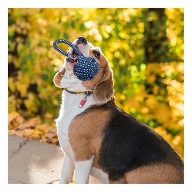 CUERDA PERROS MA31348 JALAR AZUL OSCURO + ENVOLTORIO REGALO RYBIU