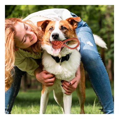 CUERDA PERRO MA31349 PASEO NARANJA + REGALO AGENDITA RYBIU