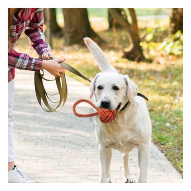 JUGUETE PERROS MA31349 CUERDA MORDISQUEAR NARANJA + GIFT MINIAGENDA RYBIU