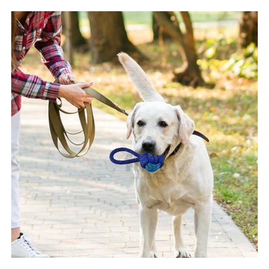 SOGA PERRO MA31347 CON NUDO AZUL + PAPEL REGALO RYBIU