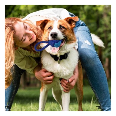 CUERDA PERROS MA31347 JALAR AZUL + ENVOLTORIO REGALO RYBIU