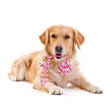 SOGA PERROS MA31346 NUDOS ROSADO + PAPEL REGALO RYBIU