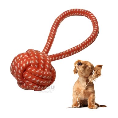 JUGUETE PERROS MA31349 MORDEDOR GRANDE EN NARANJA + POST IT ADHESIVOS RYBIU