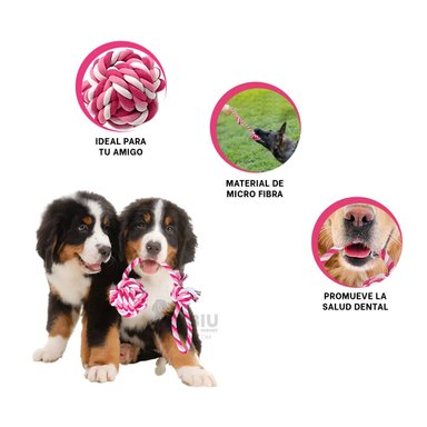 CUERDA PERROS MA31346 Y PASEOS ROSADO + GIFT STICKERS RYBIU