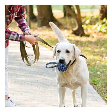 JUGUETE PERROS MA31348 CUERDA MORDISQUEAR AZUL OSCURO + GIFT MINIAGENDA RYBIU