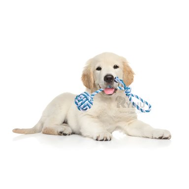 CUERDA PERROS MA31345 JALAR AZUL + REGALO AGENDITA RYBIU