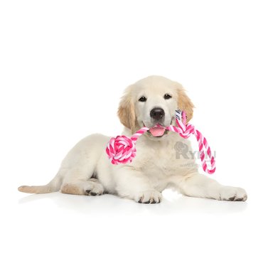 JUGUETE PERROS MA31346 CUERDA MORDISQUEAR ROSADO + GIFT MINIAGENDA RYBIU