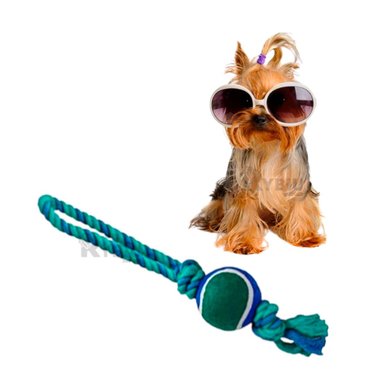 CUERDA PERROS MA31354 BOLA TENNIS MASCOTA AZUL + ENVOLTORIO REGALO RYBIU