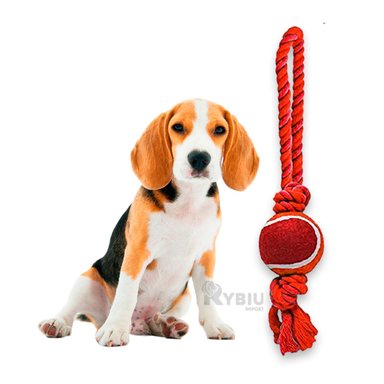 CUERDA PERROS MA31359 JALAR + PELOTA TENNIS ROJO + GIFT STICKERS RYBIU