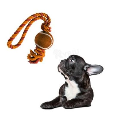 JUGUETE PERROS MA31357 IDEAL CON BOLA EN ANARANJADO + BANDERITAS ADHESIVAS RYBIU