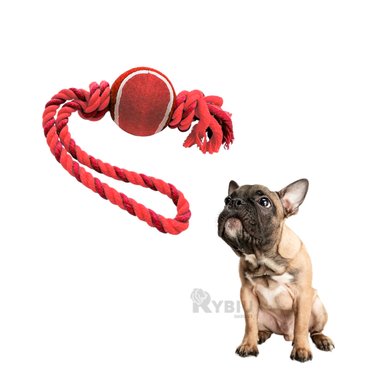 CUERDA PERROS MA31359 PELOTA TENNIS ROJO + ENVOLTORIO REGALO RYBIU