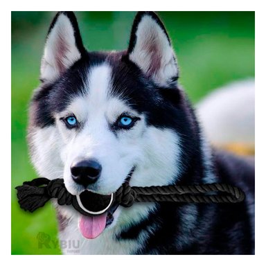 CUERDA PERROS MA31358 CON NUDO + PELOTA TENNIS NEGRO + GIFT MINIAGENDA RYBIU