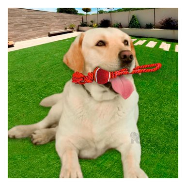 SOGA PERROS MA31359 DURADERA + PELOTA TENNIS EN ROJO + PAPEL REGALO RYBIU