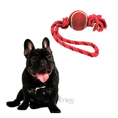 JUGUETE PERRO MA31359 CON BOLA EN ROJO + POST IT ADHESIVOS RYBIU