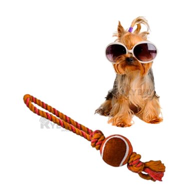 CUERDA PERROS MA31357 JALAR + PELOTA TENNIS ANARANJADO + GIFT STICKERS RYBIU