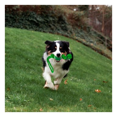 JUGUETE PERROS MA31361 IDEAL CON BOLA EN VERDE + BANDERITAS ADHESIVAS RYBIU