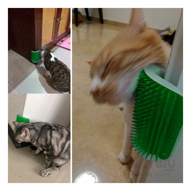 CEPILLO GATOS MA31327 ELEGANTE Y UTIL EN VERDE + ENVOLTORIO REGALO RYBIU