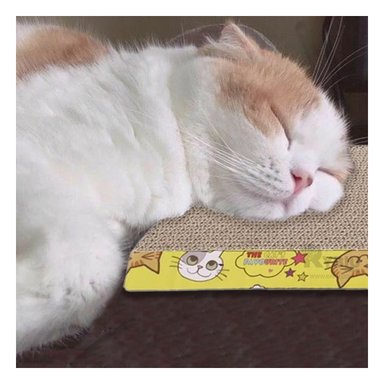 CAMA GATOS MA31323 RASCADORA CARTON + BANDERITAS ADHESIVAS RYBIU - 2