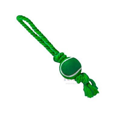 SOGA PERROS MA31361 RESISTENTE Y ESFERA VERDE + PAPEL REGALO RYBIU