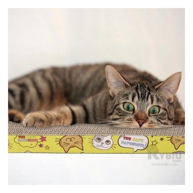 RASCADOR GATOS MA31323 ARAÑADOR COMPACTO CUADRADO CARTON + REGALO STICKERS RYBIU